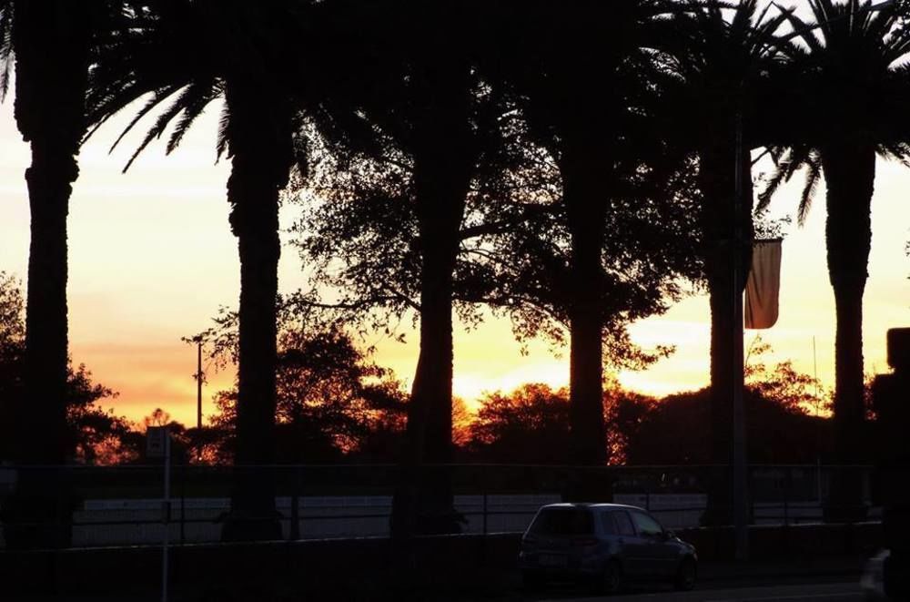 The Esplanade Motel & Conference Centre Palmerston North Bagian luar foto